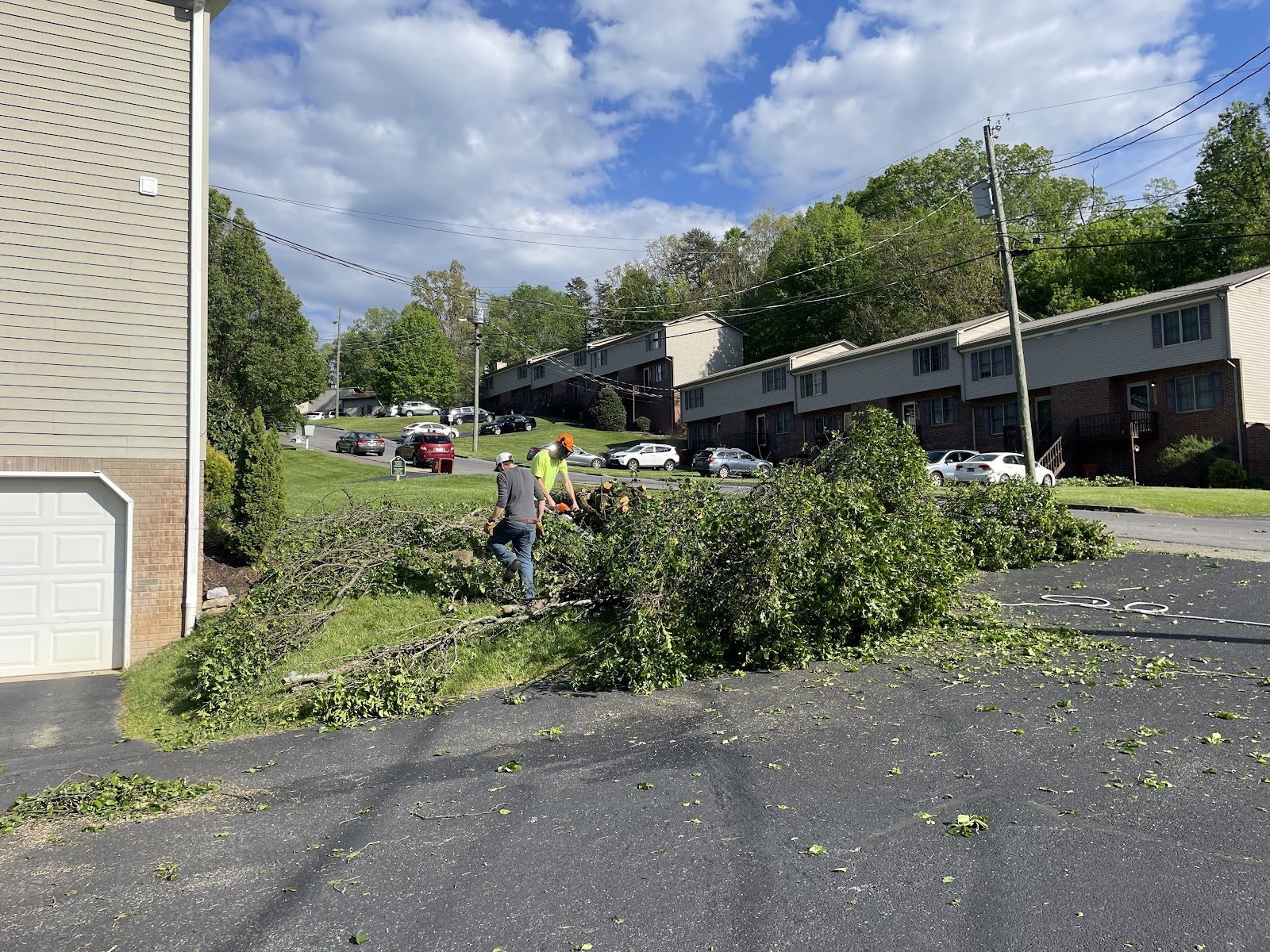WoodFellas crew clearing branches beside a residential street
