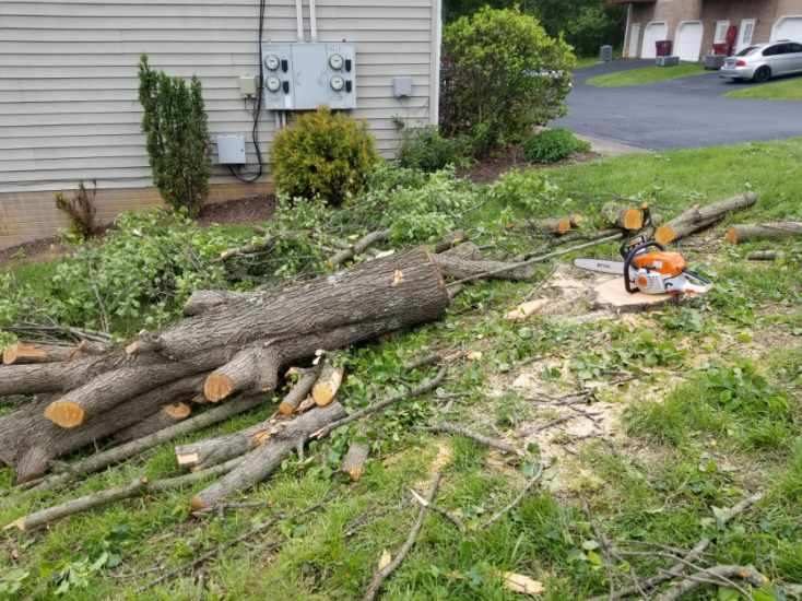 Cut logs and branches in a yard beside a home